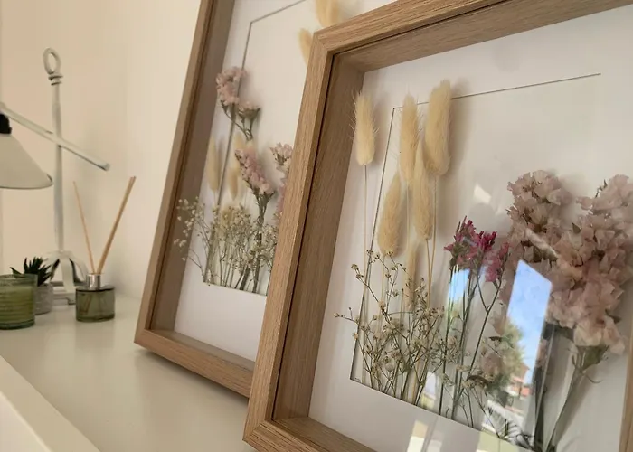 Casa Com Alma 别墅 *